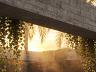 Refuge - Cambori� SC 7