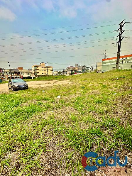 Terreno 912 m² a venda no Bairro Pagani em Palhoça — foto 4