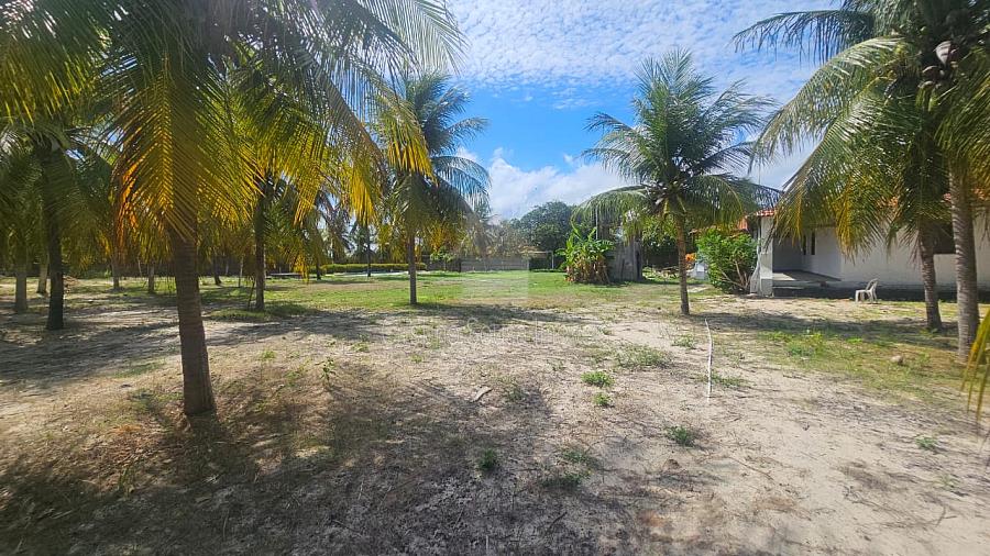 SITIO NA PRAINHA — foto 12