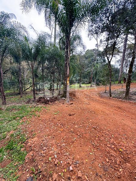 Terreno Rural na Linha Gramado, em Rio das Antas! — foto 10