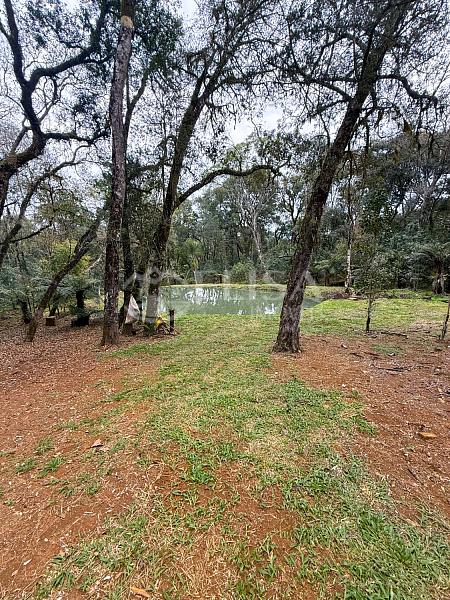 Terreno Rural na Linha Gramado, em Rio das Antas! — foto 11