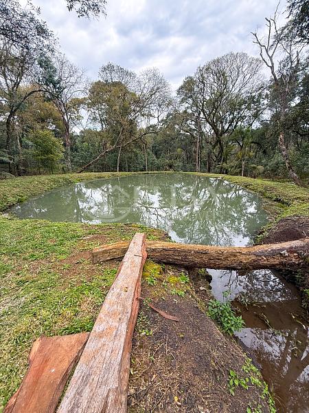 Terreno Rural na Linha Gramado, em Rio das Antas! — foto 14