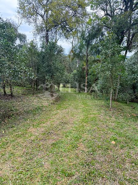 Terreno Rural na Linha Gramado, em Rio das Antas! — foto 3