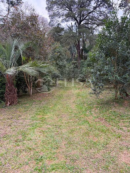 Terreno Rural na Linha Gramado, em Rio das Antas! — foto 4