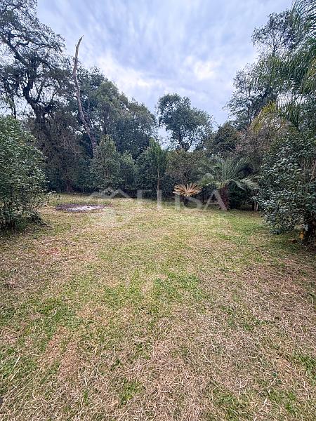 Terreno Rural na Linha Gramado, em Rio das Antas! — foto 5