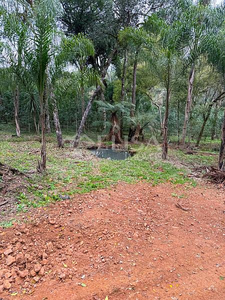 Terreno Rural na Linha Gramado, em Rio das Antas! — foto 6