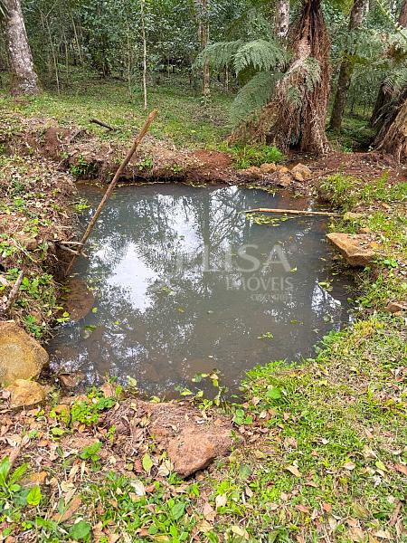Terreno Rural na Linha Gramado, em Rio das Antas! — foto 7