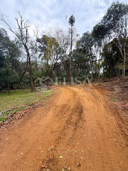 Terreno Rural na Linha Gramado, em Rio das Antas! — foto 8