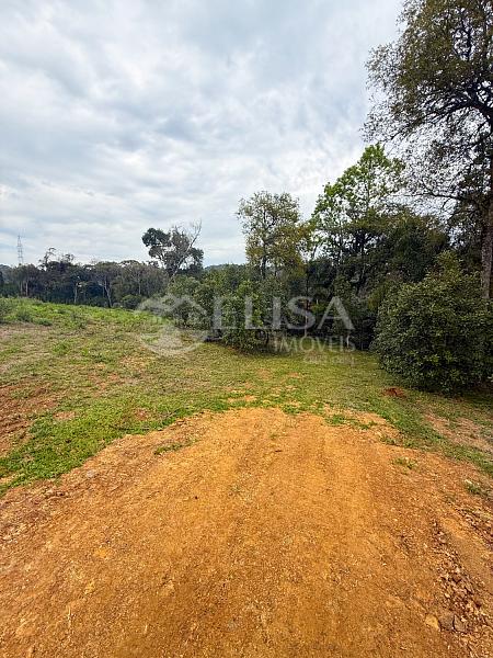 Terreno Rural na Linha Gramado, em Rio das Antas! — foto 9