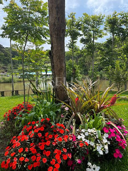 Chácara Luxuosa na Linha XV de Novembro! — foto 22