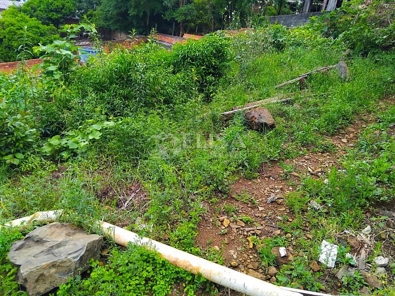 Terreno no Amarante! — foto 6