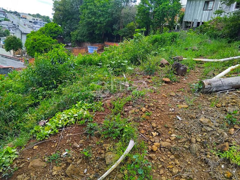 Terreno no Amarante! — foto 5