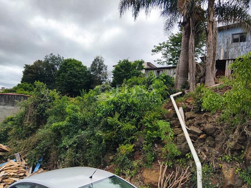 Terreno no Amarante! — foto 4