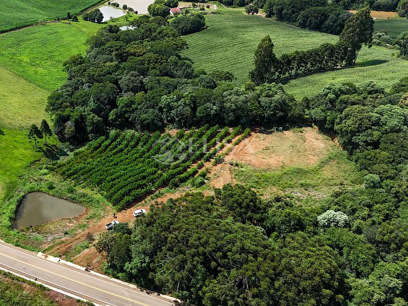 Lindo Sítio no São Roque! — foto 4