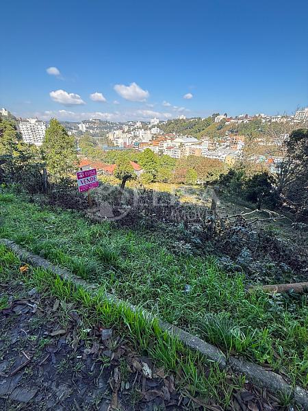 Terreno no Farroupilha! — foto 4