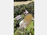 S�tio em Ipom�ia, Rio das Antas! 5
