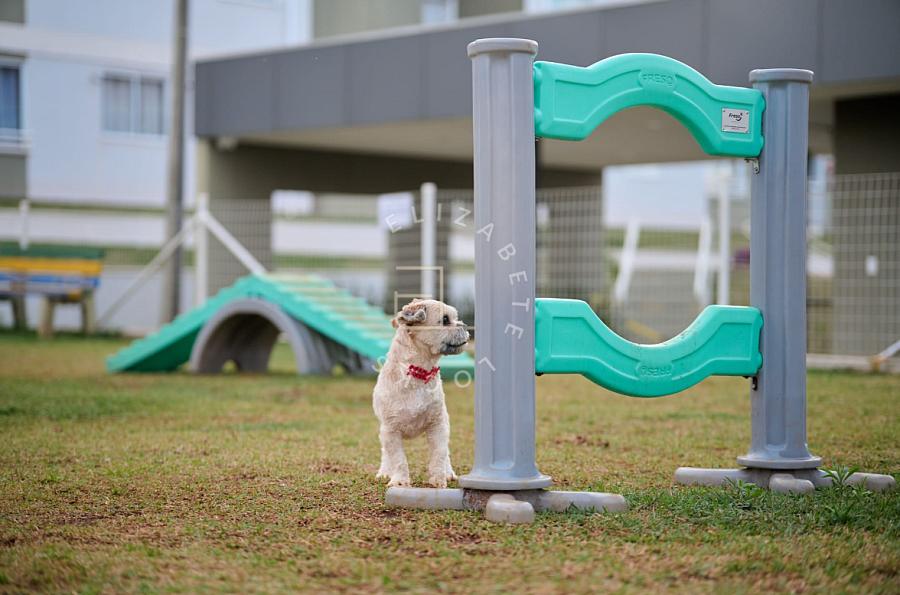 RESIDENCIAL DINAPOLI 2ª FASE — foto 27