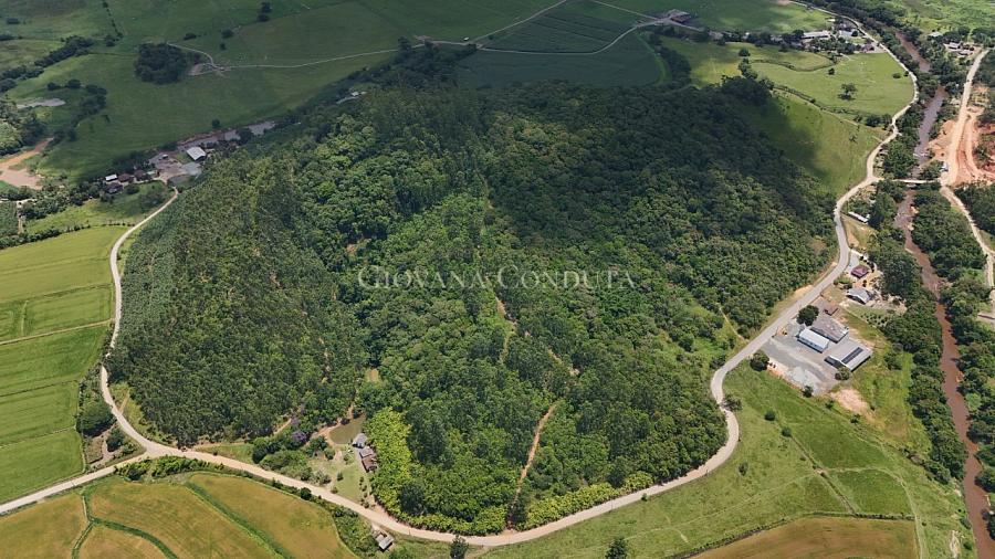 �rea rural escriturada com 67 hectares �s margens do Rio Pira� em Araquari - Morro do Jacu 13