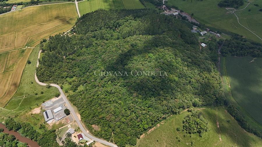 �rea rural escriturada com 67 hectares �s margens do Rio Pira� em Araquari - Morro do Jacu 15