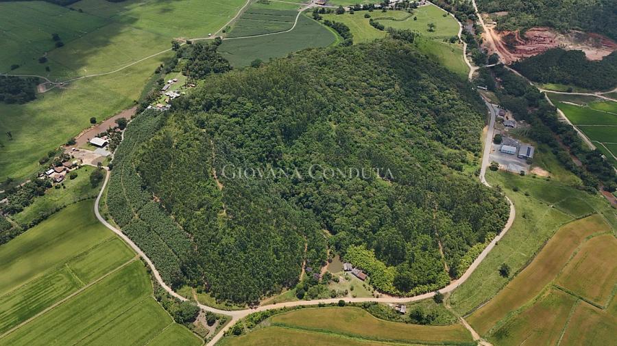 �rea rural escriturada com 67 hectares �s margens do Rio Pira� em Araquari - Morro do Jacu 17