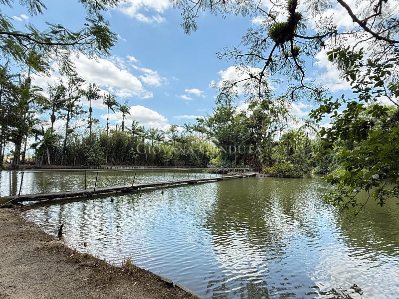 Ch�cara com 18.422 m�, rios, piscina natural e pavilh�o para eventos na Rodovia SC-108 - Vila Nova 3