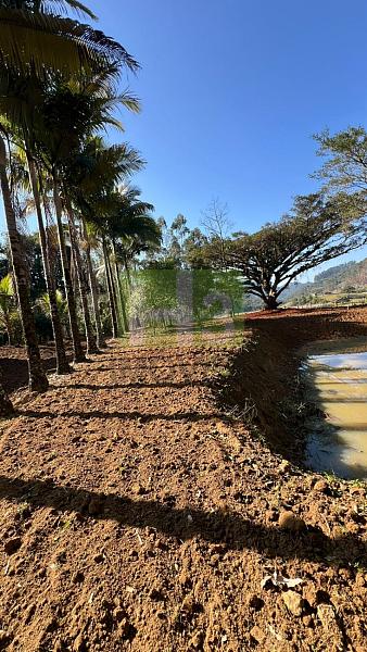 Sitio no Oliveira 1