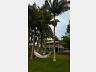 S�tio no Oliveira 3