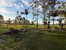 S�tio no Oliveira 35