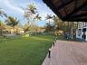 S�tio no Oliveira 34