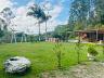 S�tio no Oliveira 21