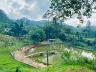 S�tio no Oliveira 13