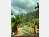 S�tio no Oliveira 9