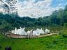 S�tio no Oliveira 45