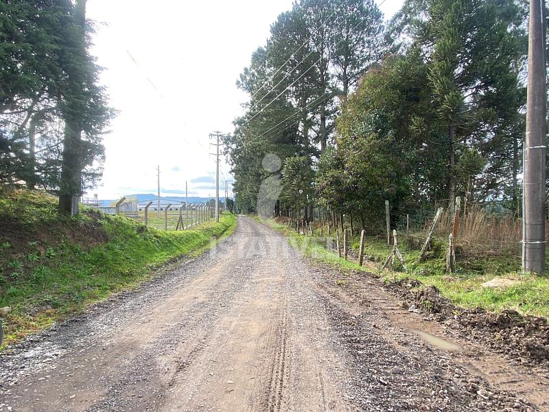 TERRENO BR-116 7