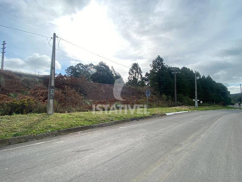 TERRENO BR-116 1
