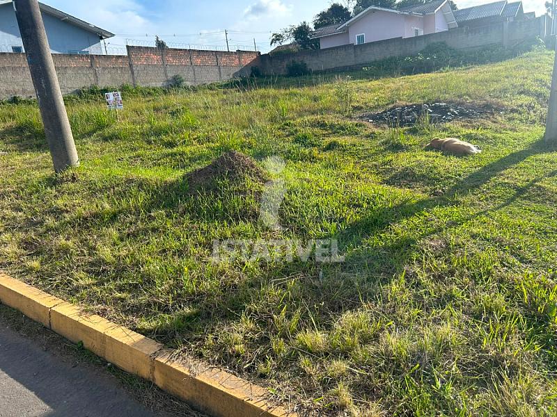 Terreno Urbano 1
