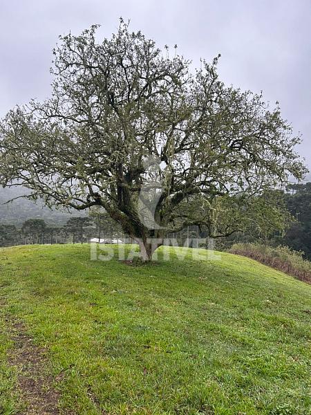 �rea Rural 3