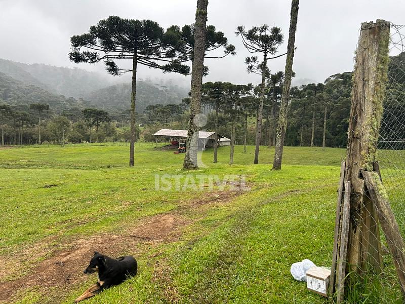 �rea Rural 1