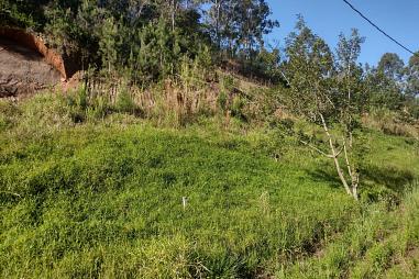 TERRENO VENDA - 3937