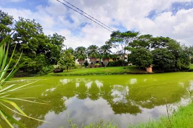 CHÁCARA  À VENDA - CH0266