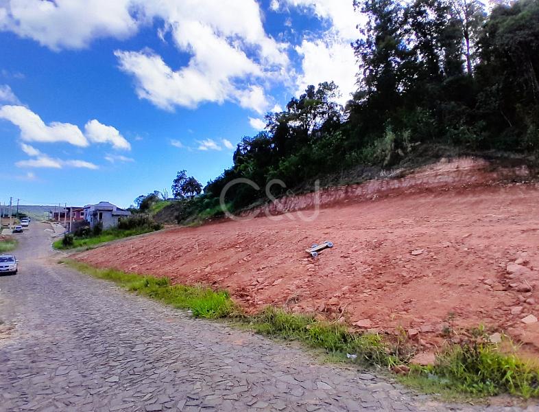 TERRENO VENDA - 3927 — foto 12