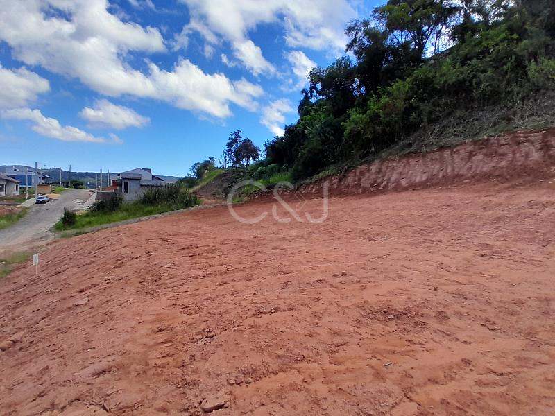 TERRENO VENDA - 3927 — foto 16