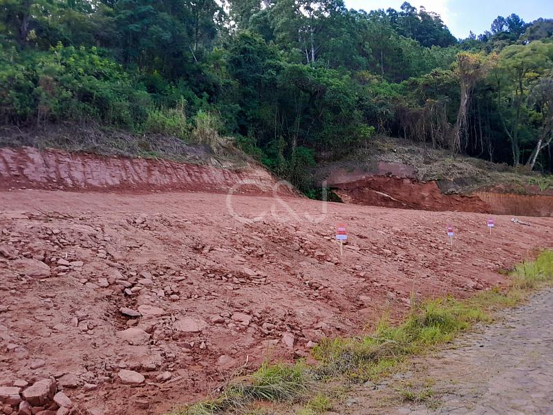 TERRENO VENDA - 3927 — foto 5