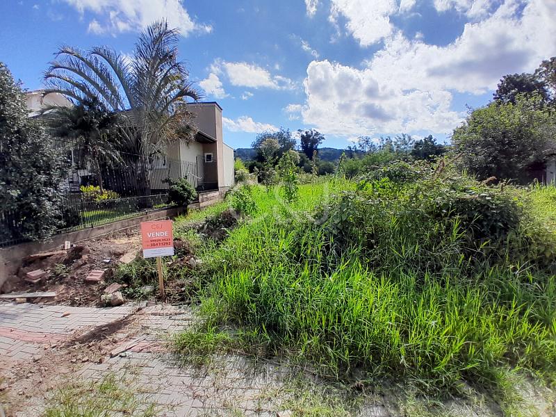 TERRENO VENDA - 3691 — foto 3