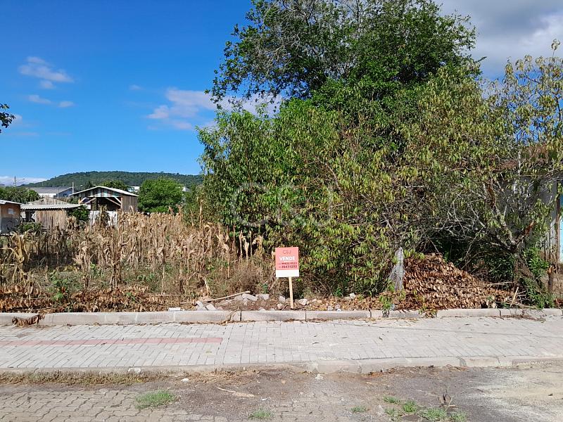 TERRENO VENDA - 3691 — foto 8