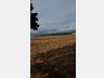 Ch�cara Linha Guarani 4