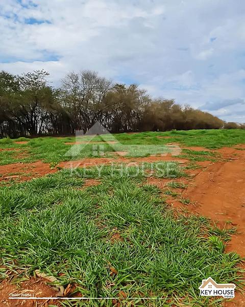 Loteamento Vila Romi Residencial — foto 9