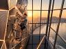 Parede de escalada indoor no pavimento Fitness com vista panor�mica para a orla