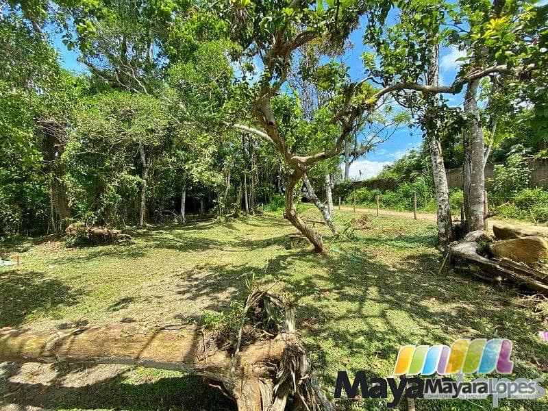 Terreno à venda, 770 m² por R$ 770.000,00 - Paulas - São Francisco do Sul/SC — foto 7