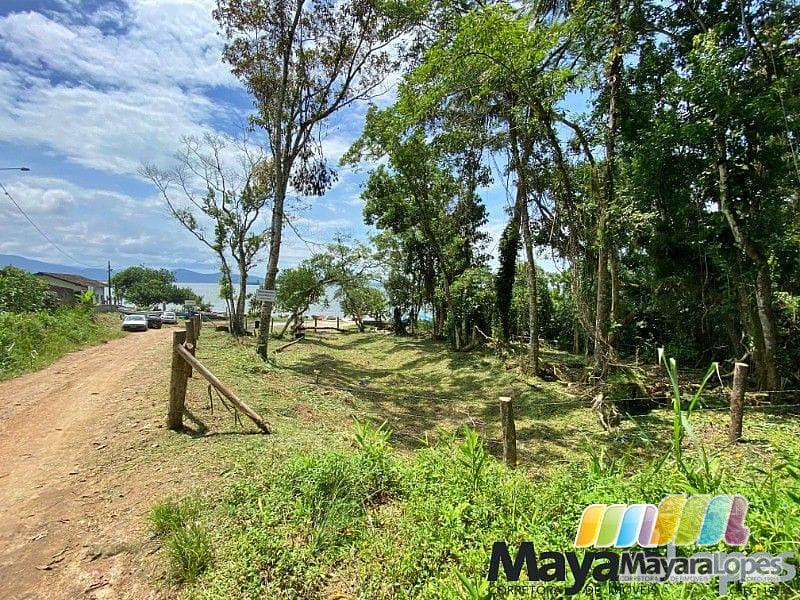 Terreno à venda, 770 m² por R$ 770.000,00 - Paulas - São Francisco do Sul/SC — foto 8